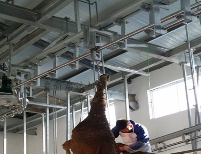 豬屠宰流水線 豬屠宰流水線