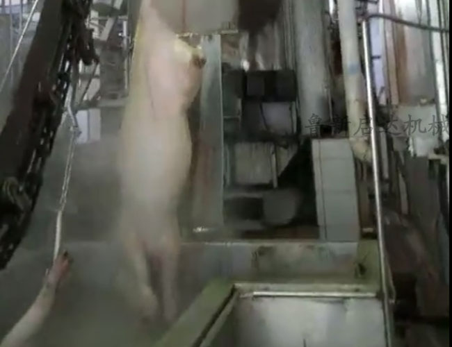 立式洗主機價格 立式洗主機價格